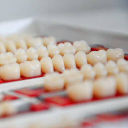 A tray of dental bridges
